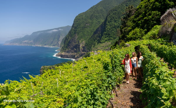 Madeira - Verano - Reserva Anticipada